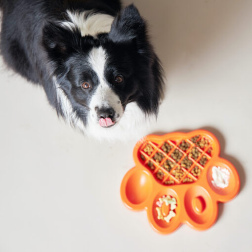 2-in-1 Slow feeder & Lick Pad