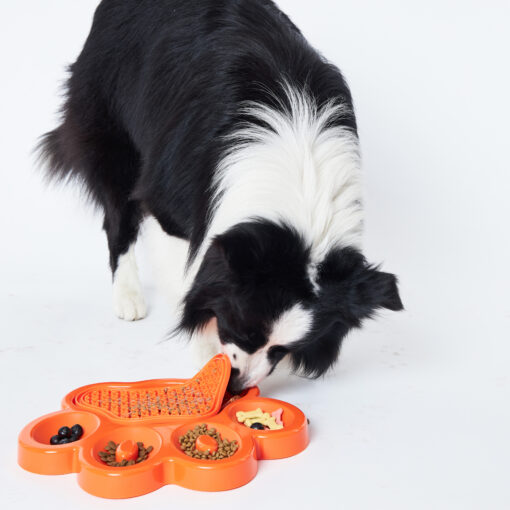 2-in-1 Slow feeder & Lick Pad