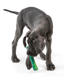 Drifty Seaflex 46 Drifty - Seaflex - West Paw