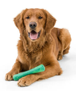 Drifty Seaflex 47 Drifty - Seaflex - West Paw