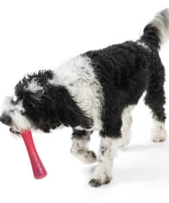 Drifty Seaflex 48 Drifty - Seaflex - West Paw