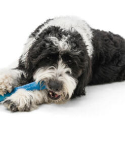 Drifty Seaflex 49 Drifty - Seaflex - West Paw