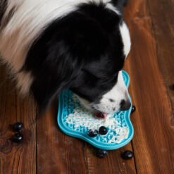 Lick Pad 30 Lick Pad