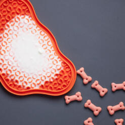 Lick Pad 27 Lick Pad