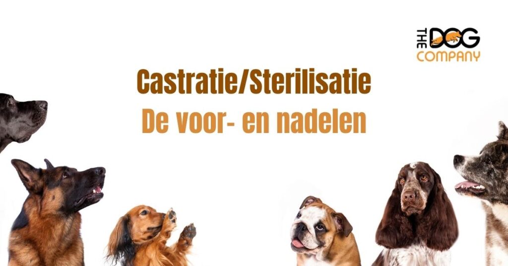 Sterilisatie en castratie voor en nadelen