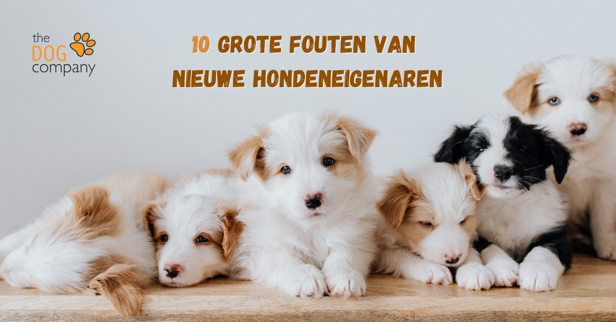 10 grote fouten header