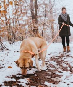 Biothane lijn Convenience 17 Biothane lijn Convenience