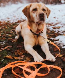 Biothane lijn Convenience 18 Biothane lijn Convenience