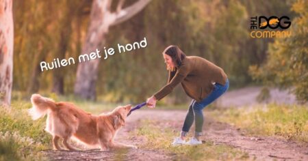 Ruilen met je hond