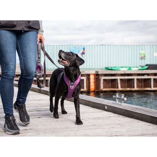 Comfort Walk Pro tuig - Dog Copenhagen - CWP-Harness-1Outdoor-P1011839