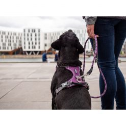 Comfort Walk Pro tuig - Dog Copenhagen - CWP-Harness-1Outdoor-P1011970V2