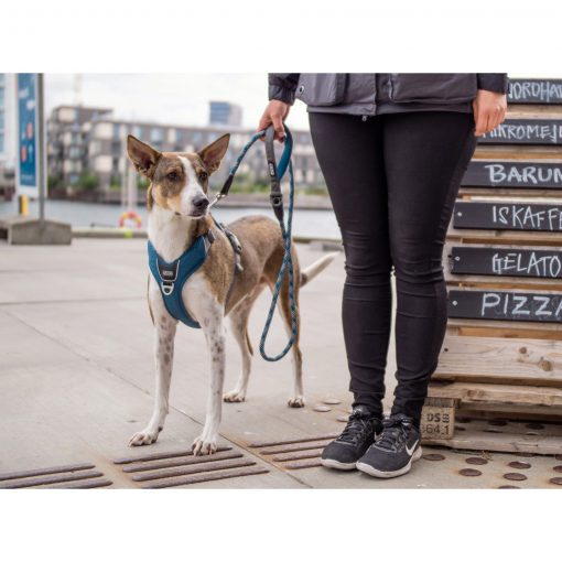 Comfort Walk Pro tuig - Dog Copenhagen - CWP-Harness-1Outdoor-P1022016