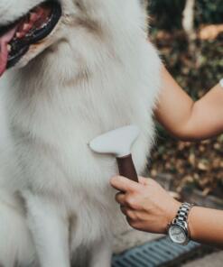 Ontwarrende hark Spa twee rijen