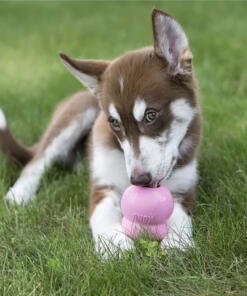 KONG Easy Treat Puppy