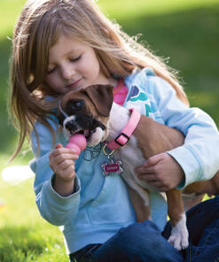 KONG Puppy 14 KONG Puppy