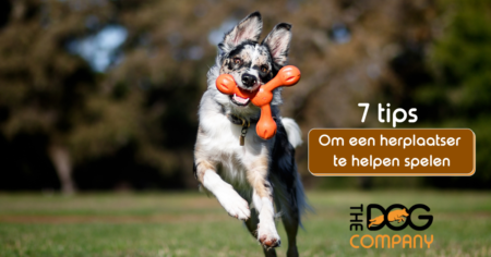 7 tips om een herplaatser te helpen spelen 8 herplaatser header