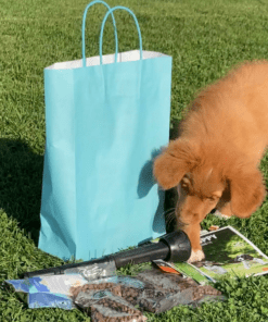 Gratis puppypakket te Hulst 1 Gratis Puppypakket