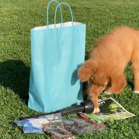 Gratis Puppypakket