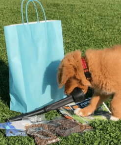 Gratis Puppypakket (enkel afhalen) 6 Gratis Puppypakket