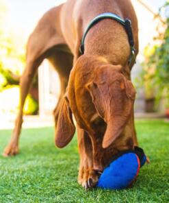 Clam 21 Clam - Tug-E-Nuff