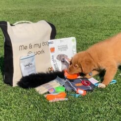 Puppypakket voor de hondenschool