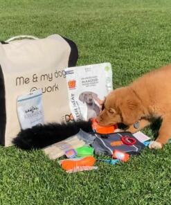 Puppypakket voor de hondenschool