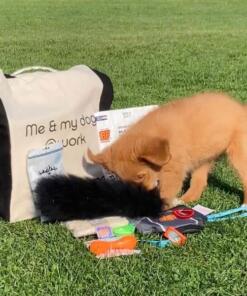 Puppypakket voor de hondenschool