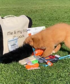 Puppypakket voor de hondenschool