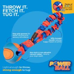 Pocket Powerball Bungee