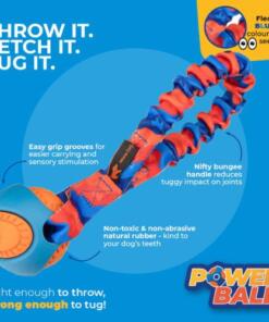 Pocket Powerball Bungee