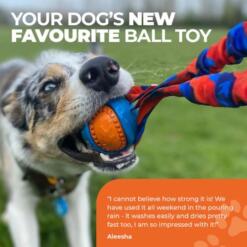 Pocket Powerball Bungee