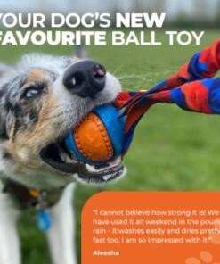 Pocket PowerBall Bungee 14 Pocket Powerball Bungee