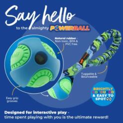 Pocket Powerball Bungee