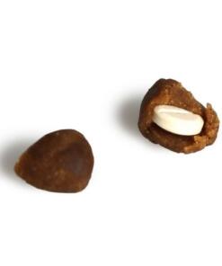 EasyPill Hond met tablet