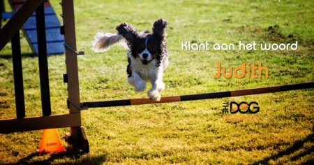 Klant aan het woord Judith header