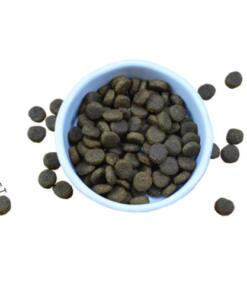 Adult Hert en Lam met Konijn brok