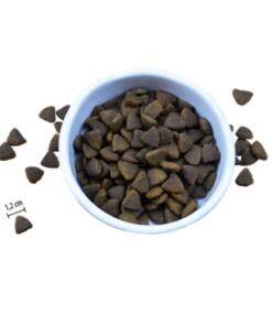 Adult Zalm en Witvis met haring brok