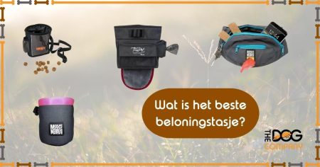 Wat is het de beste beloningstas?