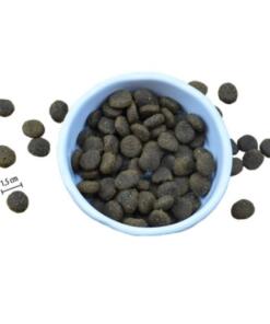 Junior XL Eend & Kalkoen met Fazant Brok