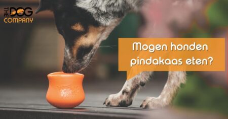 Mogen honden pindakaas eten Header