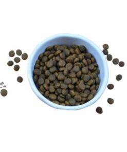 Riverwood Puppy Kalkoen & Eend met Fazant Brok