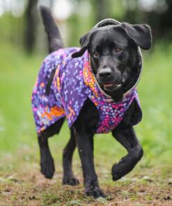 PerusPomppa alledaagse jas 28 PerusPomppa Cosmos