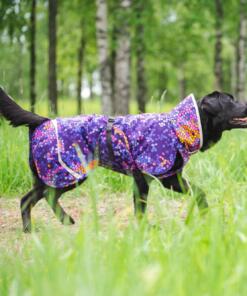 PerusPomppa alledaagse jas 26 PerusPomppa Cosmos