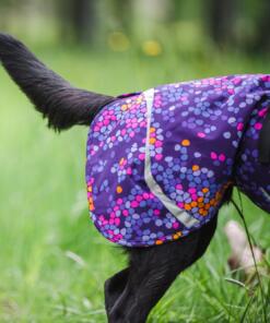 PerusPomppa alledaagse jas 27 PerusPomppa Cosmos