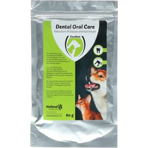 Dental Oral Care