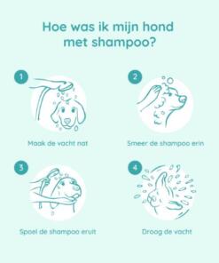 Honden Shampoo & Conditioner 11 Hoe was ik mijn hond met shampoo