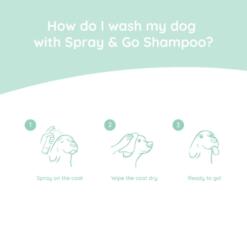 Spray & Go Droogshampoo