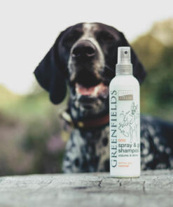 Spray & Go Droogshampoo