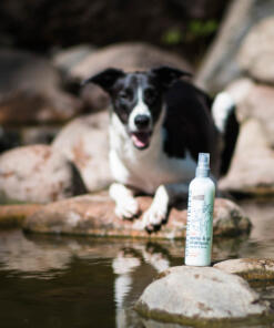 Spray & Go Droogshampoo