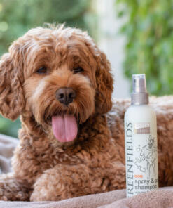 Spray & Go Droogshampoo